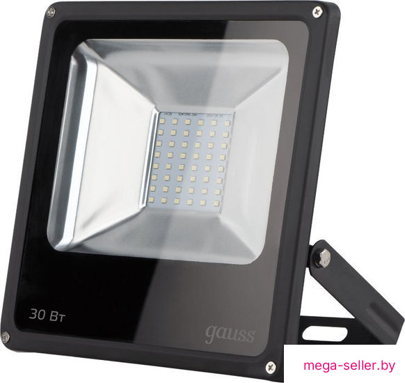Уличный прожектор Gauss LED 30W IP65 6500K 613100330 (черный)
