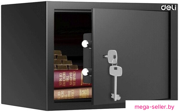 Мебельный сейф Deli Srock ET561