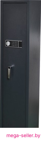 Оружейный сейф CACTUS CS-SF-GK145