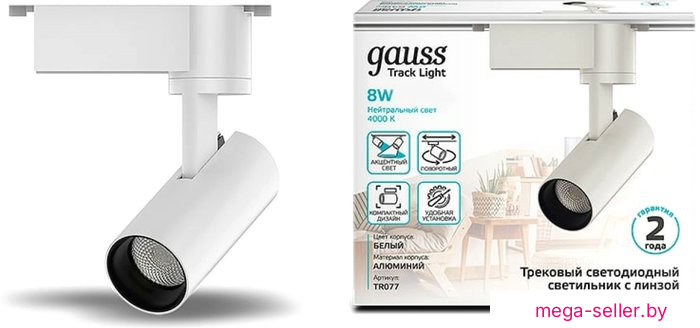 Трековый светильник Gauss TR077