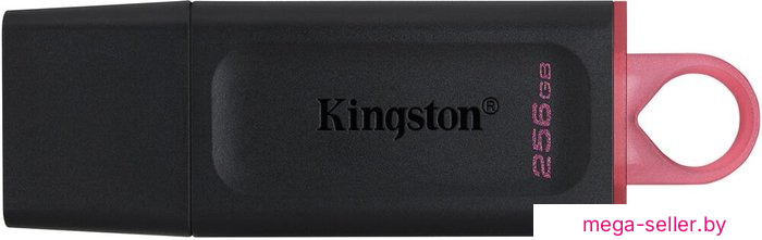 USB Flash Kingston DataTraveler Exodia 256GB
