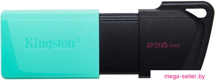 USB Flash Kingston DataTraveler Exodia M 256GB