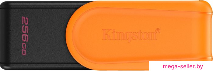 USB Flash Kingston DataTraveler Exodia S 256GB DTXS/256GB