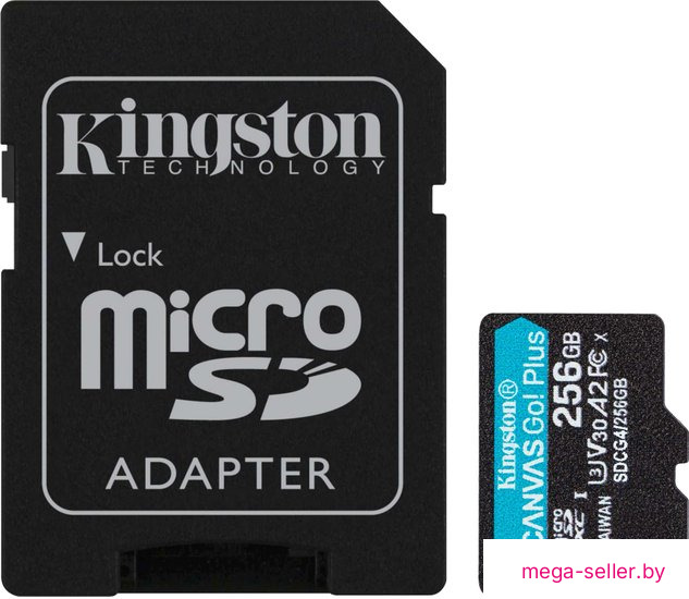 Карта памяти Kingston Canvas Go! microSDXC 256GB SDCG4/256GB (с адаптером)