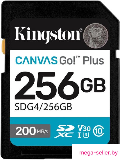Карта памяти Kingston Canvas Go! Plus SDXC 256GB SDG4/256GB