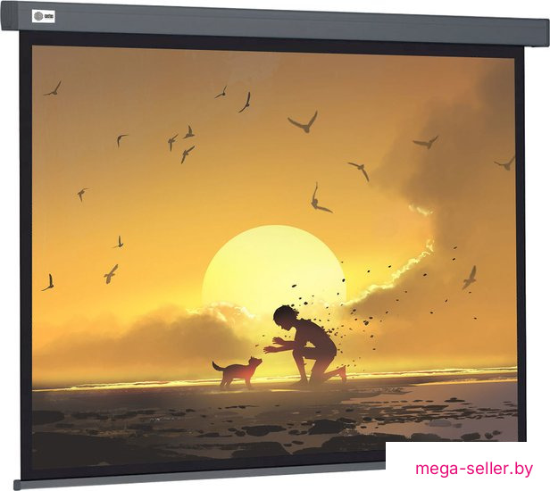 Проекционный экран CACTUS Wallscreen 124x221 CS-PSW-124X221-SG