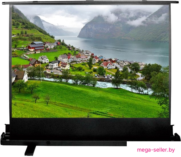 Проекционный экран CACTUS FloorExpert 102x180 CS-PSFLE-180X102