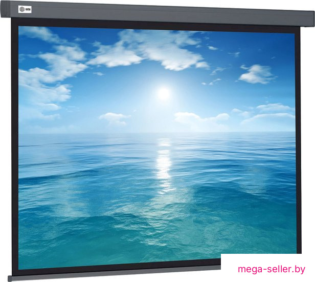 Проекционный экран CACTUS Wallscreen 104x186 CS-PSW-104X186-SG