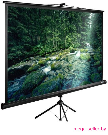 Проекционный экран CACTUS TriExpert 165x220 CS-PSTE-220X165-BK