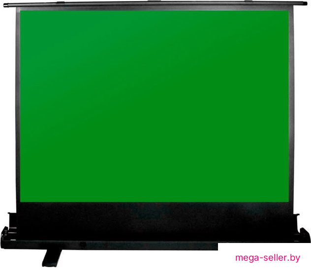 Проекционный экран CACTUS GreenFloorExpert 150х200 CS-PSGFE-200X150