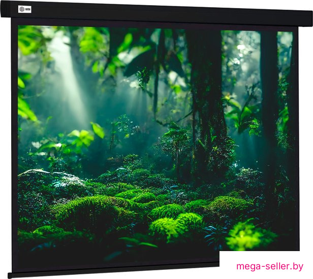Проекционный экран CACTUS Wallscreen 213x213 CS-PSW-213X213-BK