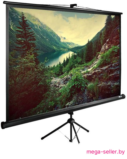 Проекционный экран CACTUS TriExpert 220x220 CS-PSTE-220X220-BK