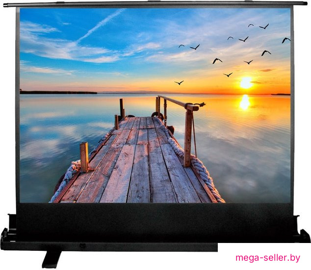 Проекционный экран CACTUS FloorExpert 113x200 CS-PSFLE-200X113