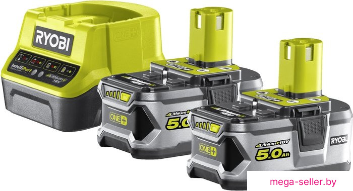 Аккумулятор с зарядным устройством Ryobi RC18120-250 ONE+ 5133003364 (18В/5.0 а*ч + 18В)