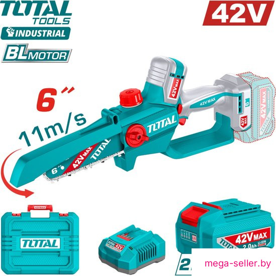 Аккумуляторная пила Total TGSLI42681 (с 2-мя АКБ, кейс)