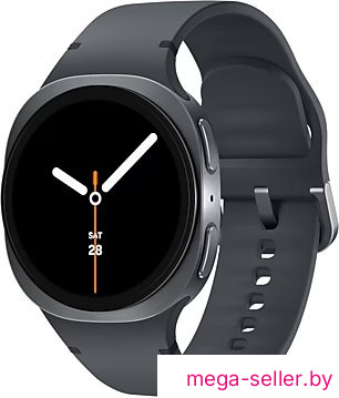 Умные часы Samsung Galaxy Watch8 40 мм LTE (графит)