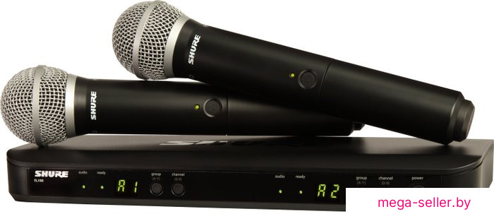 Радиосистема Shure BLX288E/PG58 M17