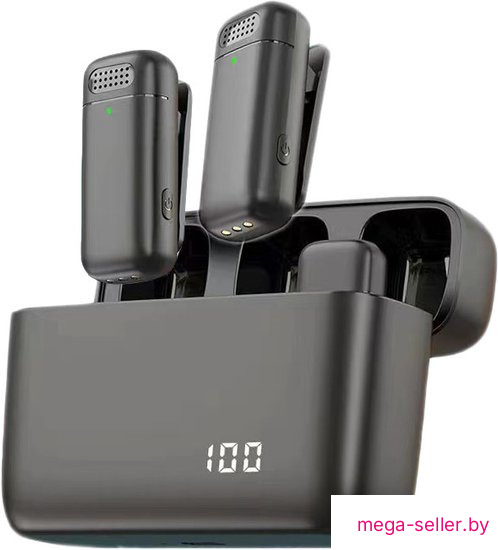 Радиосистема Miru MIC005