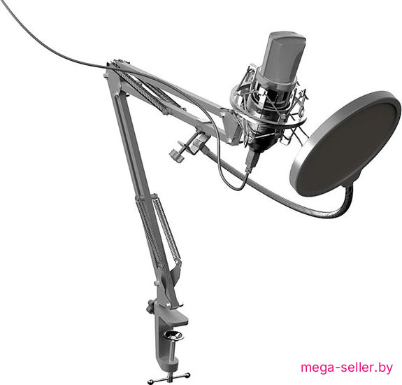 Проводной микрофон Ritmix RDM-169