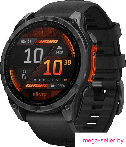Умные часы Garmin Fenix 8 47мм (серый, черный силиконовый ремешок)