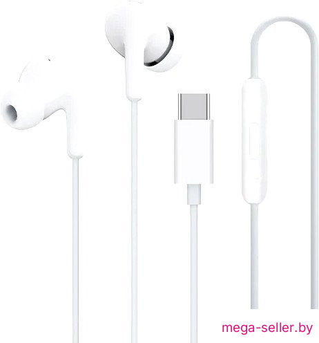 Наушники Xiaomi Type-C Earphones M2413E1 (белый, международная версия)