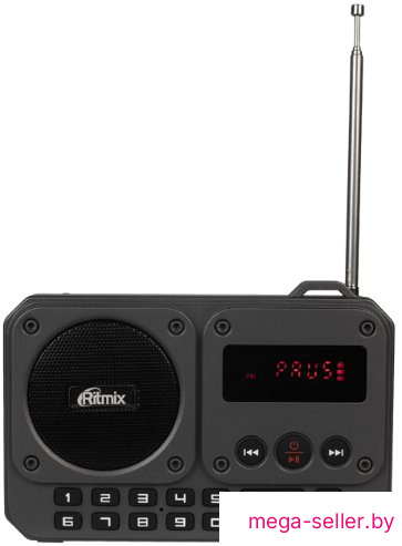 Радиоприемник Ritmix RPR-010
