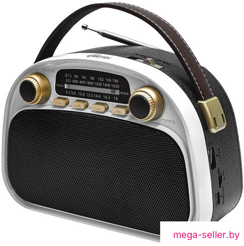 Радиоприемник Ritmix RPR-040 (белый)