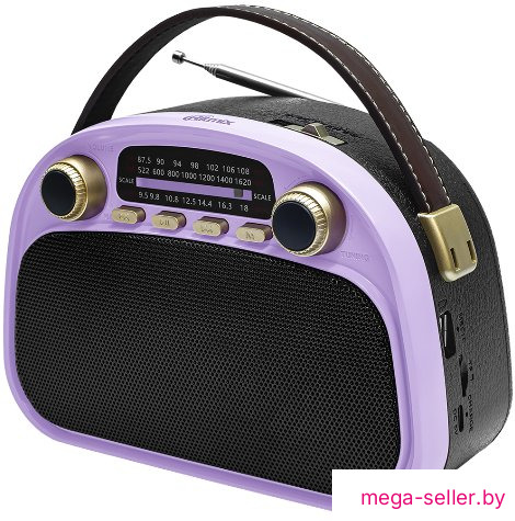 Радиоприемник Ritmix RPR-040 (лавандовый)