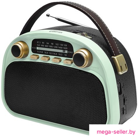 Радиоприемник Ritmix RPR-040 (мятный)