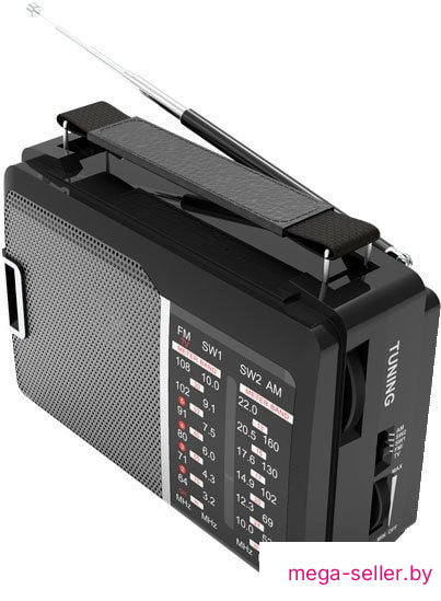 Радиоприемник Ritmix RPR-190