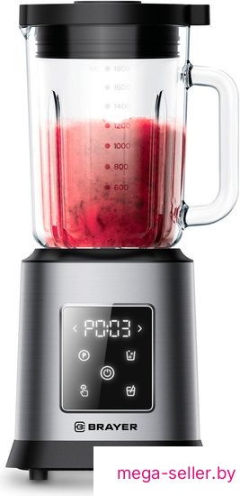 Стационарный блендер Brayer BR1207