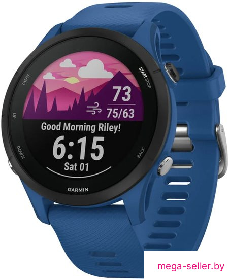 Умные часы Garmin Forerunner 255 (темно-синий/черный)
