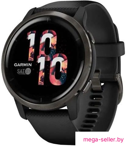 Умные часы Garmin Venu 2 (сланцевая нержавеющая сталь/черный)