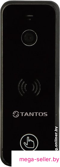 Вызывная панель Tantos iPanel 2+ (черный)