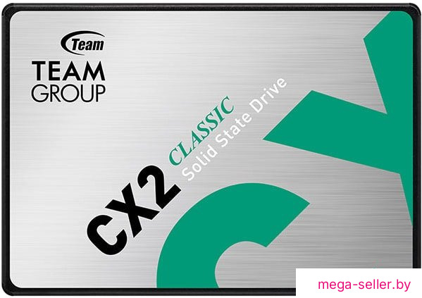 SSD Team CX2 256GB T253X6256G0C101