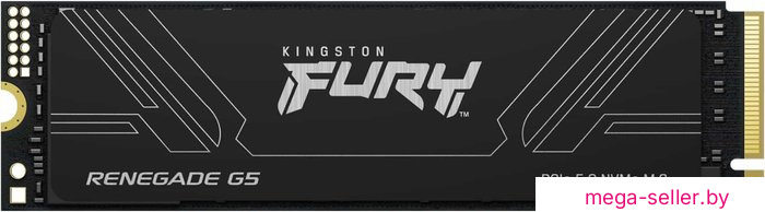 SSD Kingston Fury Renegade G5 4TB SFYR2S/4T0