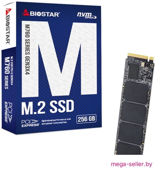 SSD BIOSTAR M760 256GB M760-256GB