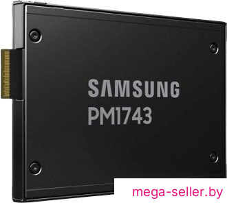SSD Samsung PM1743 3.84TB MZWLO3T8HCLS-00A07