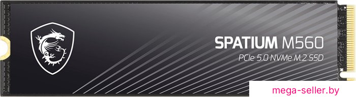 SSD MSI Spatium M560 1TB S78-440L0F0-P83
