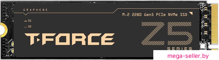 SSD Team T-Force Cardea Z540 4TB TM8FF1004T0C129