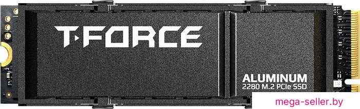 SSD Team T-Force G70 Pro 2TB TM8FFH002T0C128
