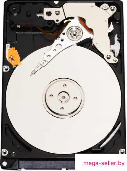 Жесткий диск Infortrend HESS10S3120-0030C 1.2TB
