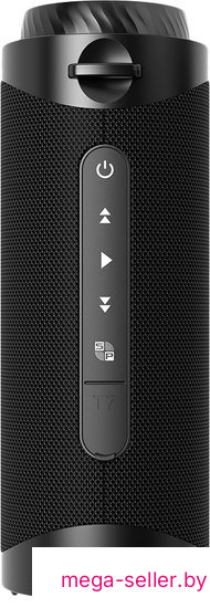 Беспроводная колонка Tronsmart T7 (черный)