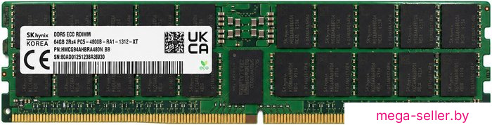 Оперативная память Hynix 64ГБ DDR5 6400 МГц HMCG94AHBRA480N