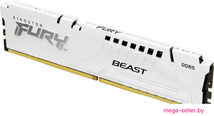 Оперативная память Kingston FURY Beast 16ГБ DDR5 5600 МГц KF556C40BW-16