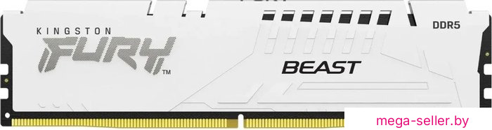 Оперативная память Kingston FURY Beast 16ГБ DDR5 6000 МГц KF560C36BWE2-16