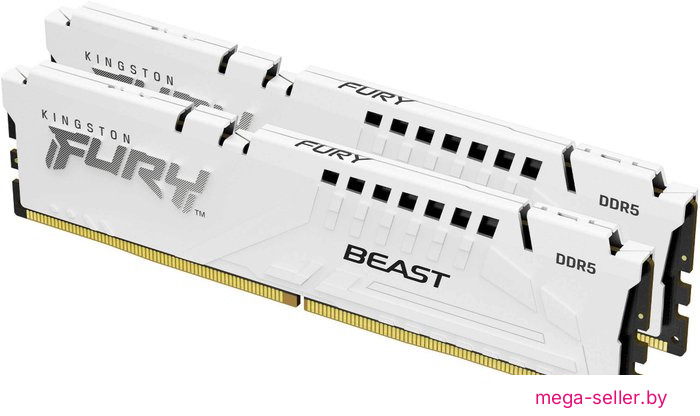 Оперативная память Kingston FURY Beast 2x32ГБ DDR5 6000 МГц KF560C36BWEK2-64
