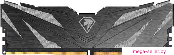 Оперативная память Netac Shadow II 16ГБ DDR5 6000 МГц NTSWD5P60SP-16K