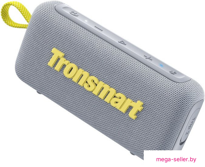Беспроводная колонка Tronsmart Trip 2 (серый)