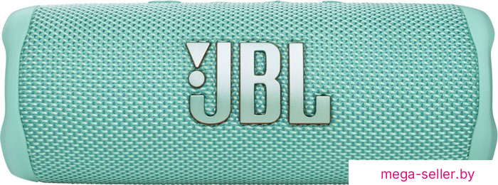 Беспроводная колонка JBL Flip 6 (бирюзовый)